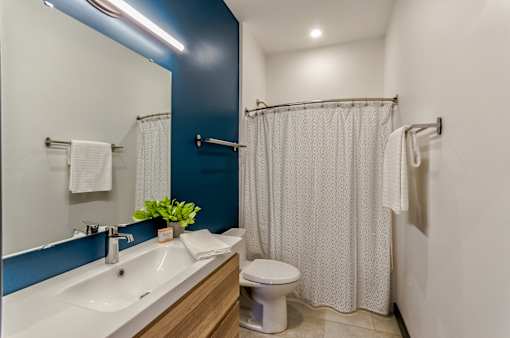 A bathroom with a white sink, toilet, and shower curtain.