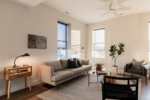 A living room with a grey couch, a wooden side table, a black chair, and a potted plant.