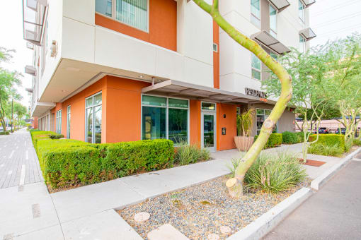 an orange building with a tree in front of it