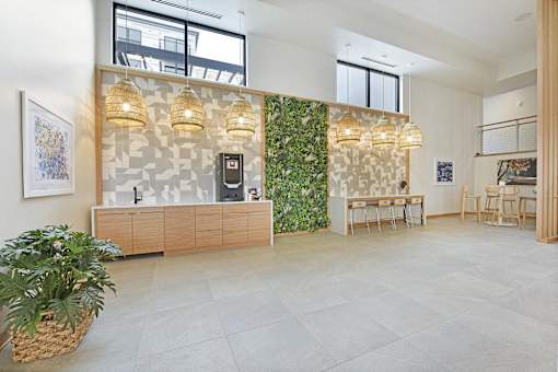 A room with a green plant on the wall and a wooden cabinet.