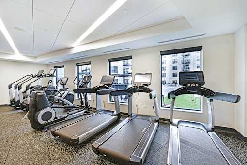 A gym with treadmills and elliptical machines.