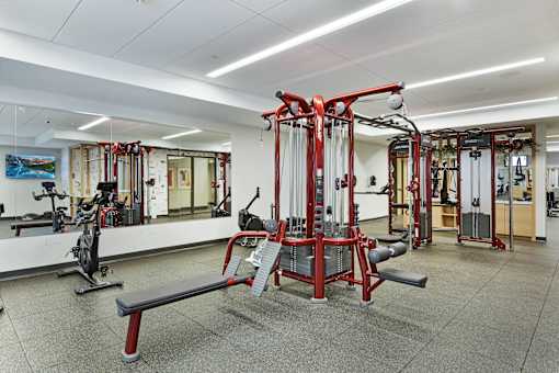 A gym with a variety of equipment including a squat rack and a bench.