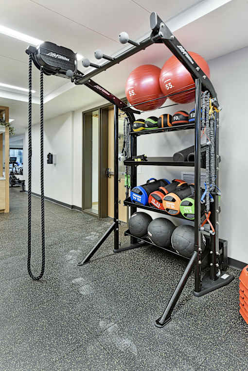 A gym with a weight rack and a row of exercise balls.