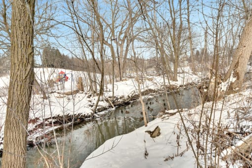 a snowy creek with a red fire hydrant in the background