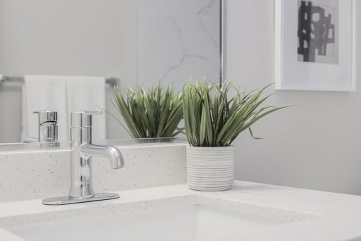 a white bathroom sink with a plant on the counter