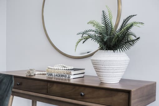 a wooden dresser with a plant on top of it and a mirror hanging above it