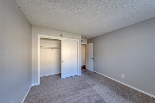 a bedroom with a carpeted floor and a closet with a mirrored door