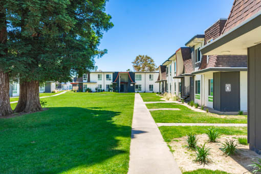 a row of houses on a grassy area with trees in the background