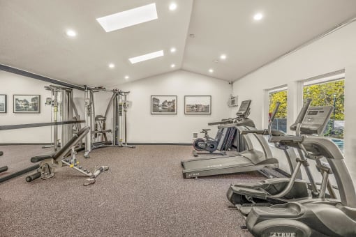 a home gym with treadmills and exercise machines
