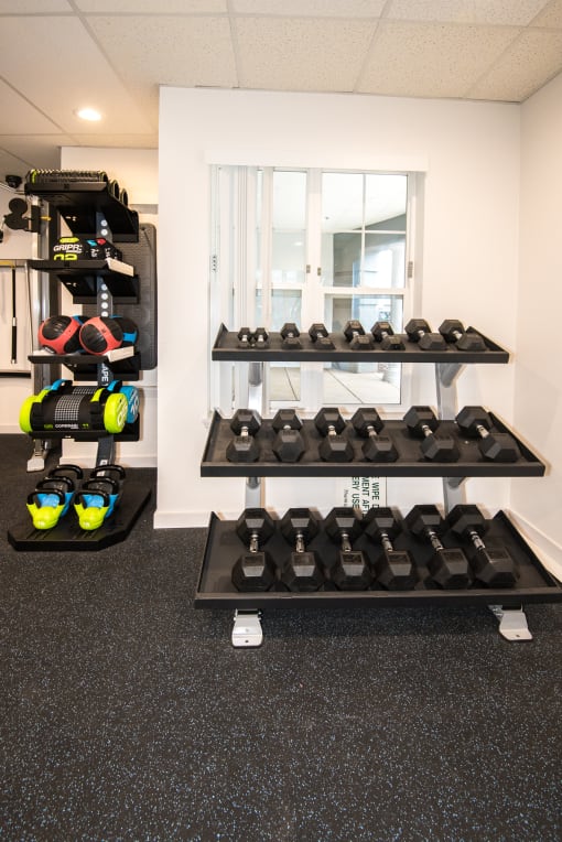 a gym with weights and racks of dumbbells