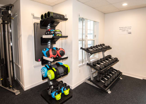 a gym with weights and a rack of dumbbells