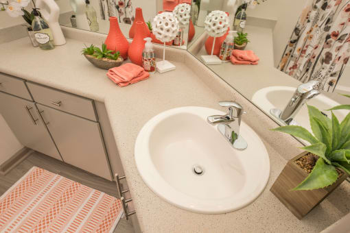a bathroom with a sink and a mirror
