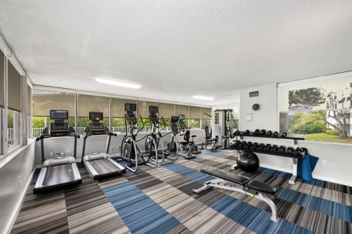a gym with cardio machines and weights on a rug