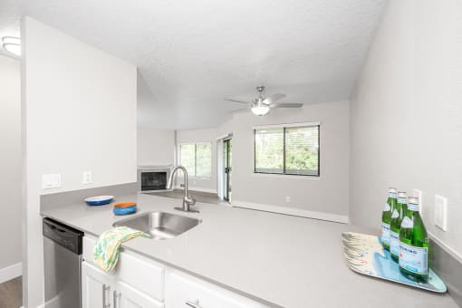 a kitchen with a sink and a dishwasher