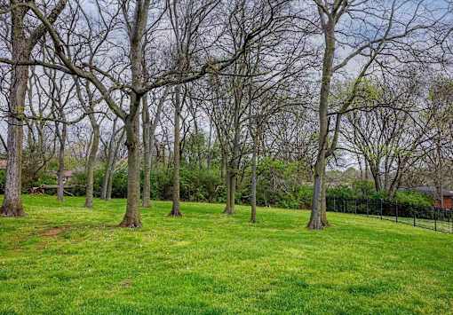 A field of green grass with trees in the background.