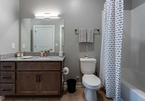 A bathroom with a white toilet, a wooden vanity, and a shower curtain.