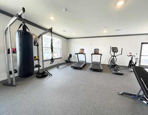 A gym with a punching bag, treadmills, and other exercise equipment.