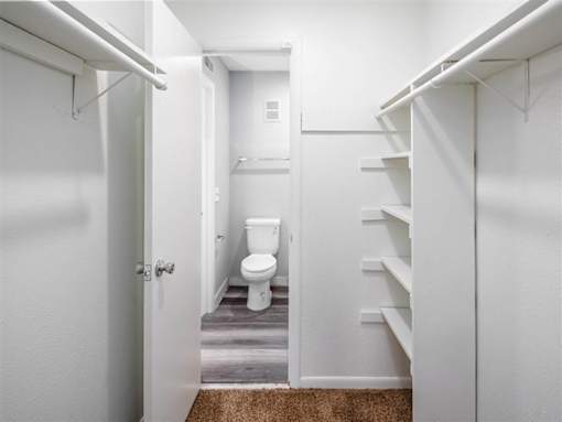 A white bathroom with a toilet and a rug on the floor.