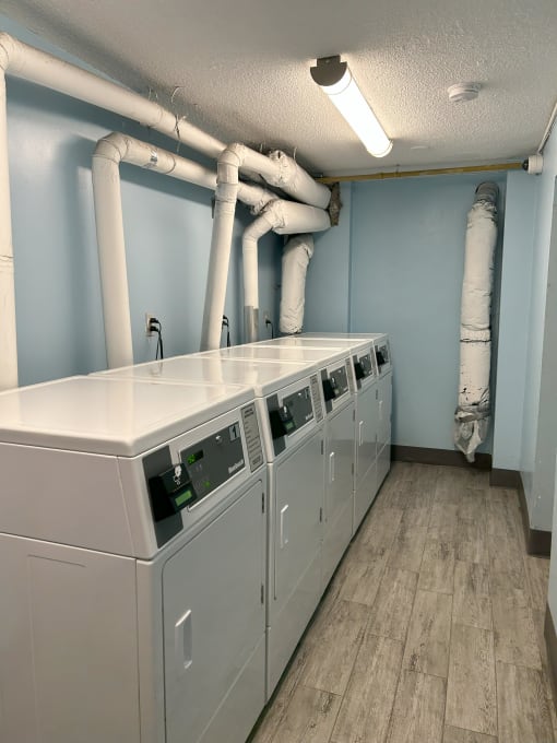 a row of washers and dryers in a utility room