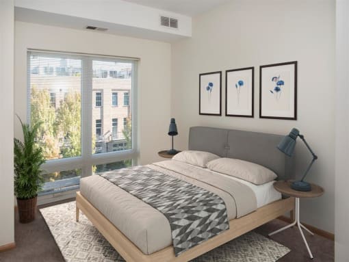 one bedroom with large windows