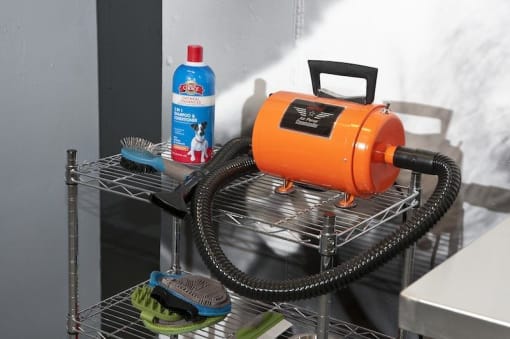 Dog grooming room