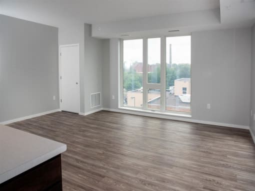Large Windows