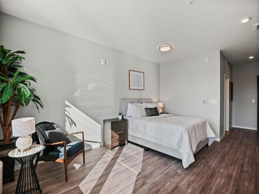 Bedroom with Natural Light