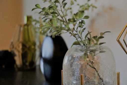 A glass jar with a plant in it sits on a table.