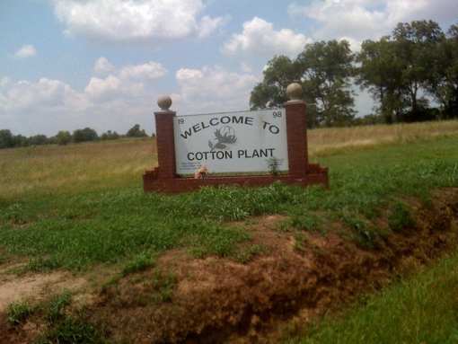 a sign that says welcome to cotton plant in a field
