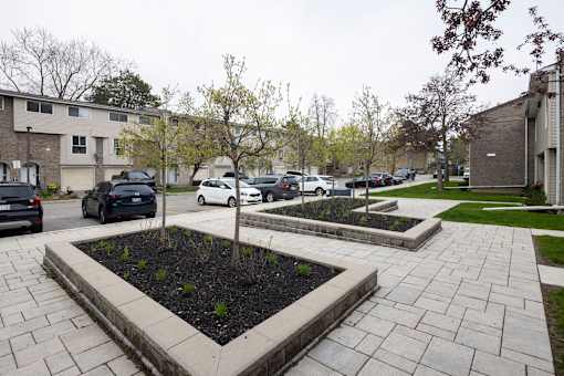 A view of a courtyard with a few trees and a few cars.