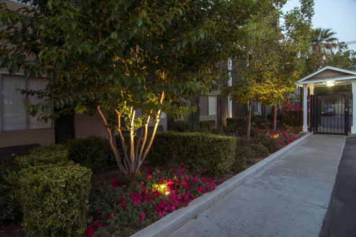 a sidewalk in front of a building with trees and flowers