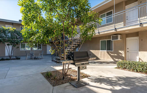 A tree in a courtyard with a bench and a building in the background.