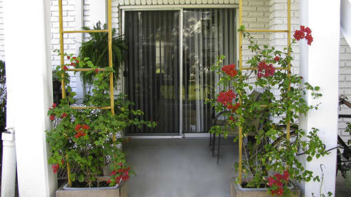 a view of the front door of a house with flowers in front of it