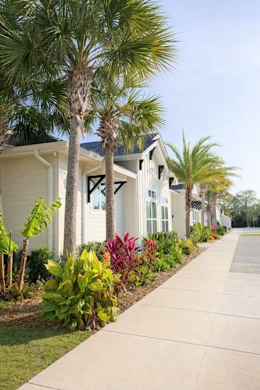 A row of houses with a sidewalk in front.