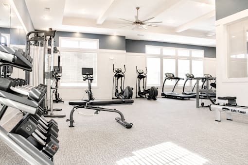 A gym with a variety of equipment including a treadmill, weights, and a bench press.