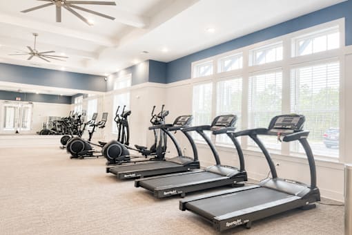 A room with a row of treadmills and exercise bikes.