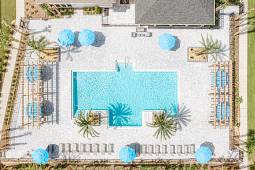 A large swimming pool surrounded by palm trees and lounge chairs.