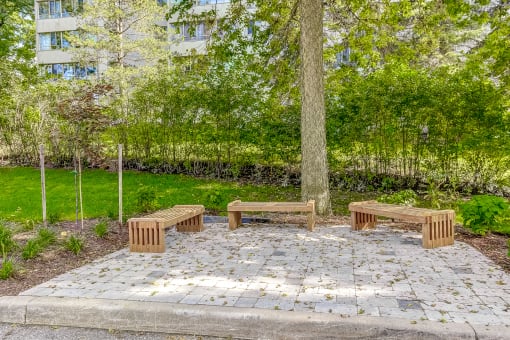a group of benches sitting next to a tree