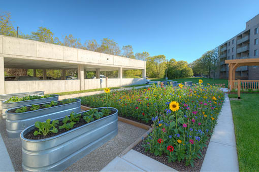 A sunny day at a park with a variety of flowers and plants.