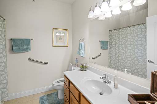 a bathroom with a sink and a toilet and a mirror