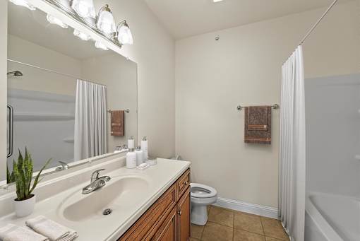a bathroom with a sink and a toilet and a mirror