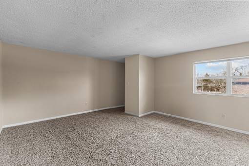 Empty room with carpeted floor and a window showing a view of a barren landscape.
