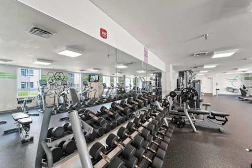 A gym with a variety of equipment including dumbbells, weight machines, and a stationary bike.