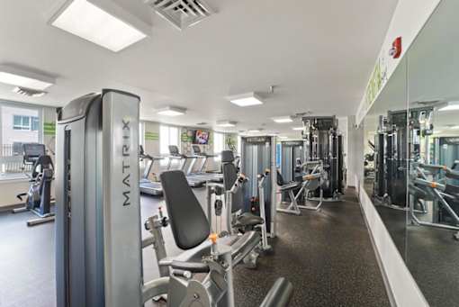 A gym with a variety of equipment including a treadmill.