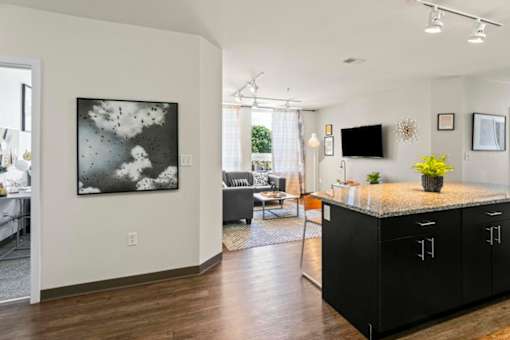 A modern kitchen with a black countertop and cabinets.