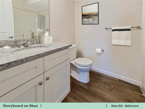a bathroom with a toilet and a sink and a mirror