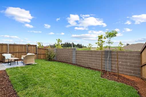 A backyard with a wooden fence and a small tree.