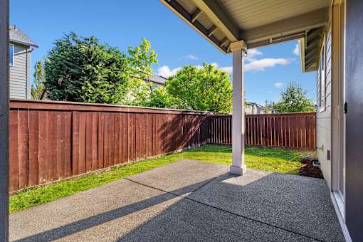 A sunny day at a residential backyard with a wooden fence.