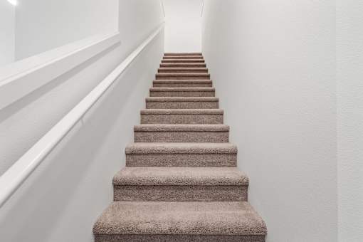 Long staircase with a carpeted runner.