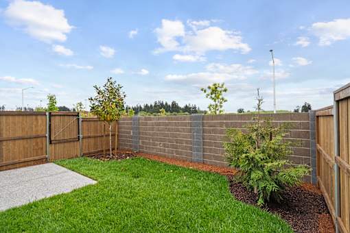 A backyard with a wooden fence and a small tree.